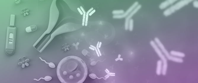 Infertility and Auto-Antibodies: A Review