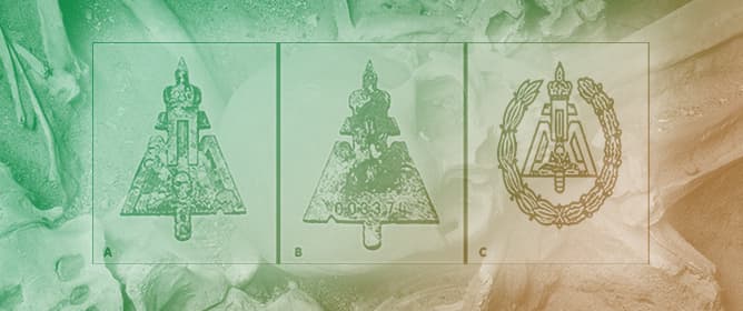 The Lost History: Anthropological Analysis of 93 Post-WWII Skeletal Remains from Eboli Refugee Camp (Campania, Italy) Rediscovered After 75 Years in Bari&rsquo;s Monumental Cemetery (Apulia, Italy)