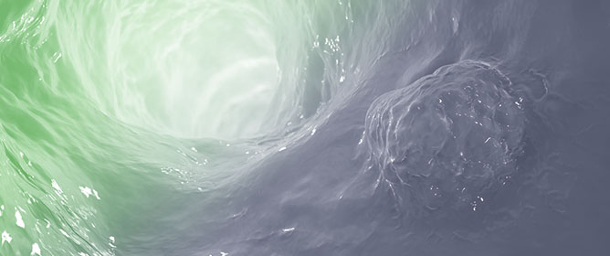 Application of Foundation Models for Colorectal Cancer Tissue Classification in Mass Spectrometry Imaging