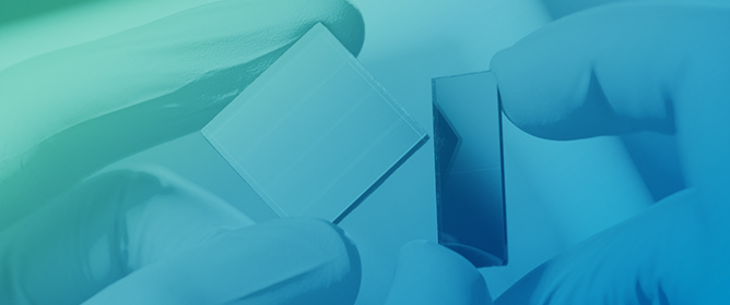 Optical Properties of a-SiC:H Thin Films Deposited by Magnetron Sputtering