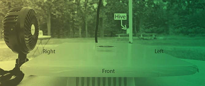 A Teleonomic Account of Honeybee Behavior