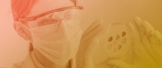 Clean to Prevent, Monitor to Protect