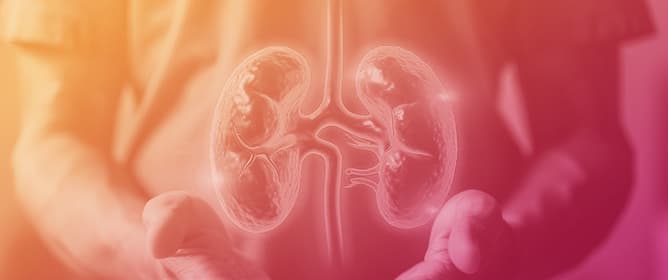 Advances in Kidney Transplant, Machine Perfusion, and Viability Markers