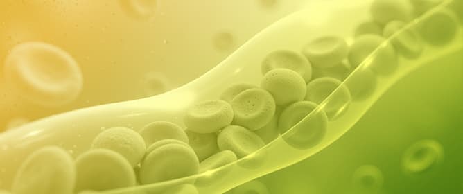 One-Month Real-World Comparison of Aflibercept 8 mg Versus 2 mg in Treatment-Naïve and Previously Treated Eyes with Neovascular Age-Related Macular Degeneration