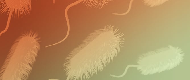 Ocurrence of Foodborne Pathogens in Raw Meat-Based Diets for Pets