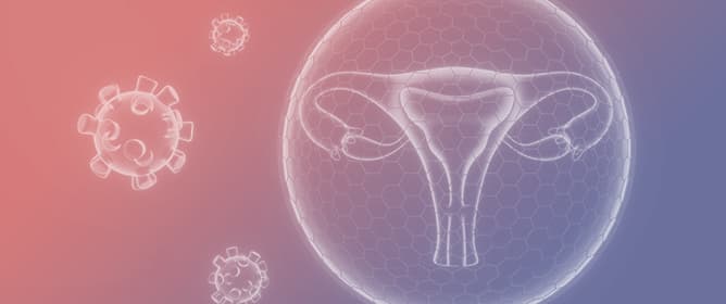 <em>Lactobacillus</em> and HPV: Microbiota&rsquo;s Role in Cervical Dysplasia Regression