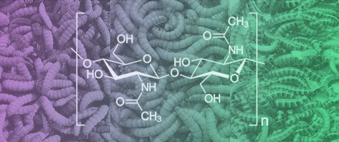 Harnessing Insect Chitin for Feed