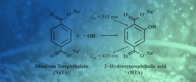 <strong></strong>Hydroxyl Radical Formation and Its Mechanism in Cavitation Bubble Plasma-Treated Water: A Chemical Probe Study