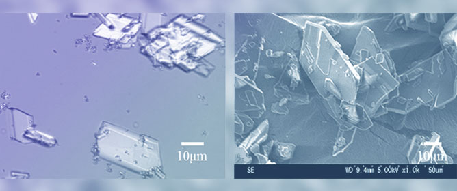 Crystallization of Four Troglitazone Isomers: Selectivity and Structural Considerations