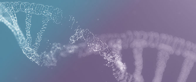 DNA Damage Induced by Fast Neutron and Gamma Rays Evaluated Using qPCR