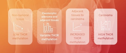 Methylation Status of the Telomerase Reverse Transcriptase Promoter in Parotid Tumours and Adjacent Parotid Gland Tissue: A Pilot Study on the Implications for Recurrence and Development of Malignancy