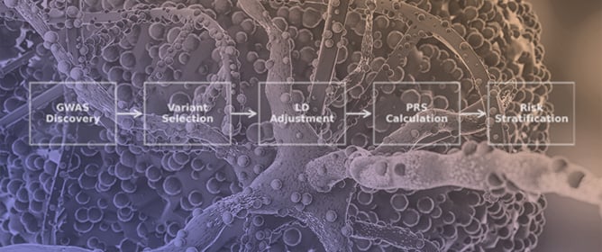 Polygenic Risk Scores and Coronary Artery Disease