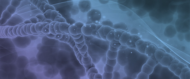 MicroRNA and DNA Methylation Adaptation Mechanism to Endurance Training in Cardiovascular Disease: A Systematic Review