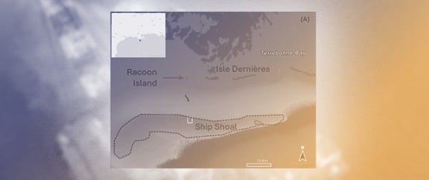 Time Series Changes of Surficial Sediments on Eastern Ship Shoal, Louisiana Shelf