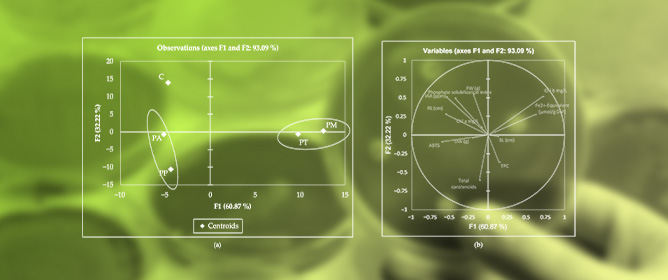 Biostimulant Potential of Colombian Mangrove-Associated <em>Pseudomonas</em> spp. for Sustainable Seed Priming