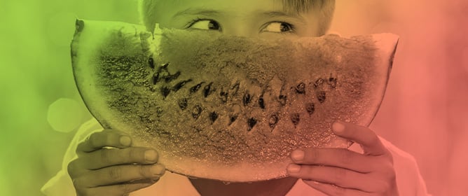 Transforming By-Products into Functional Resources: The Potential of <em>Cucurbitaceae</em> Family Seeds in Cosmetics













