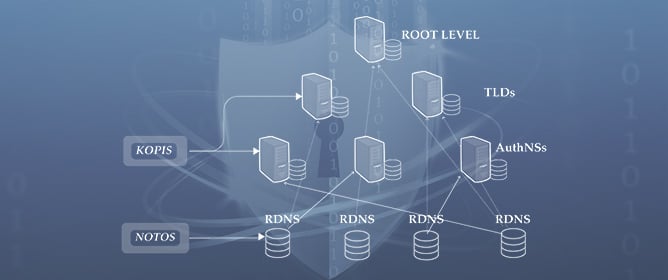 Towards Proactive Domain Name Security: An Adaptive System for .ro domains Reputation Analysis
