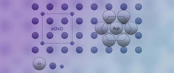 The Mutual Influence of Elemental S and Cs on the Ni(100) Surface at Room and Elevated Temperatures