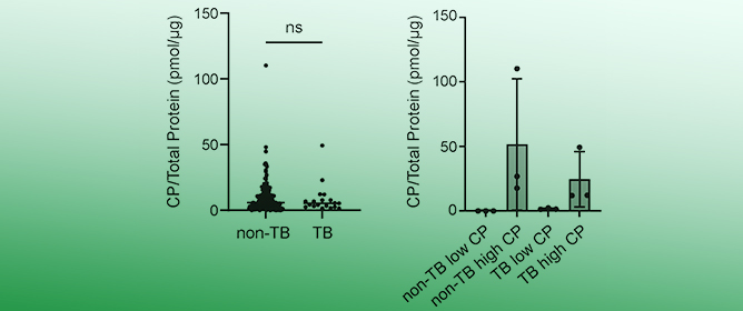 Proteomic Analysis of Sputum from Patients with Active Tuberculosis