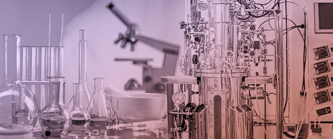 Waste to Value: L-Asparaginase Production from Agro-Industrial Residues