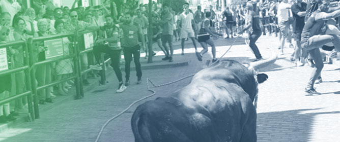 Hematological, Enzymatic, and Endocrine Response to Intense Exercise in Lidia Breed Cattle During the Roping Bull Bullfighting Celebration