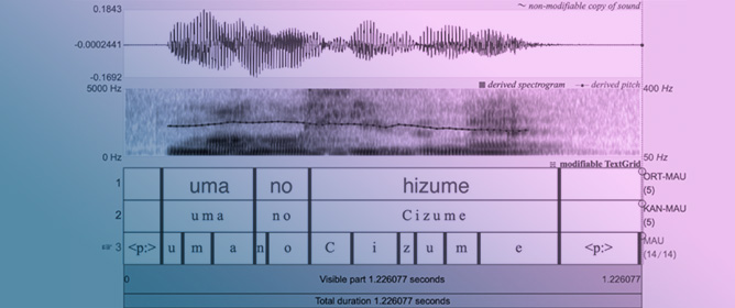 When Pitch Falls Short: Reinforcing Prosodic Boundaries to Signal Focus in Japanese