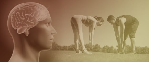 Neuroplasticity of Brain Networks Through Exercise: A Narrative Review About Effect of Types, Intensities, and Durations