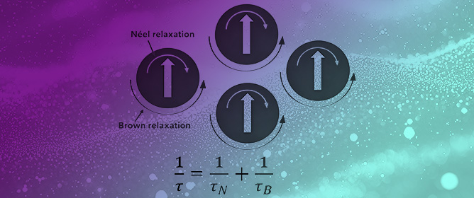 Effect of Microstructural Changes on the Magnetization Dynamics Mechanisms in Ferrofluids Subjected to Alternating Magnetic Fields