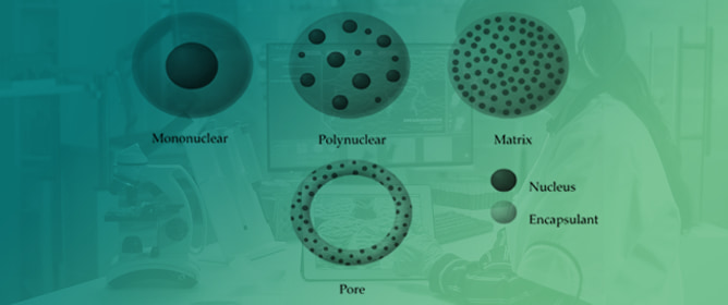 Computational Modeling for Optimizing Microencapsulation: From Molecular Dynamics to CFD and FEM