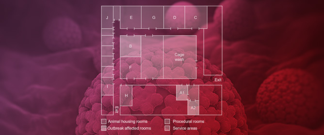Identification and Characterization of MmuPV1 Causing Papillomatosis Outbreak in an Animal Research Facility