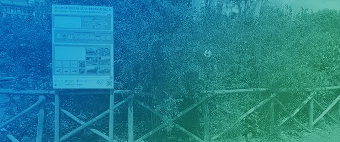 Miyawaki and Urban Tiny Forests in Italy