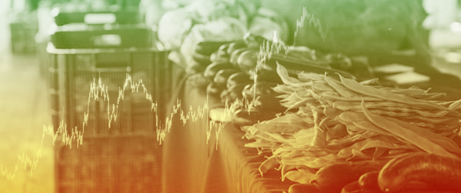 Agricultural Futures Contracts as Part of a Sustainable Investment Strategy: Issues and Opportunities