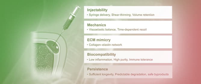 Regenerative Strategies for Vocal Fold Repair Using Injectable Materials
