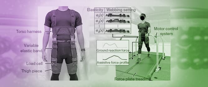 Development of Variable Elastic Band with Adjustable Elasticities for Semi-Passive Exosuits