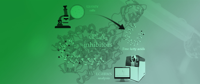 A Lipidomic Approach to Studying the Downregulation of FFAs by GIVA cPLA<sub>2</sub> Inhibitors