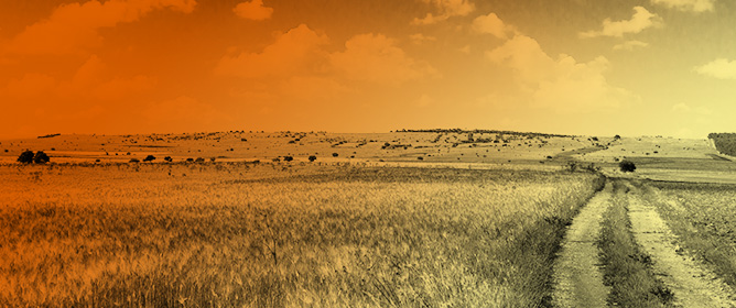 Perceived Working Conditions and Intention to Adopt Digital Safety Training in High-Risk Productive Sectors: An Exploratory Study in Manufacturing and Agriculture in Northwest Italy