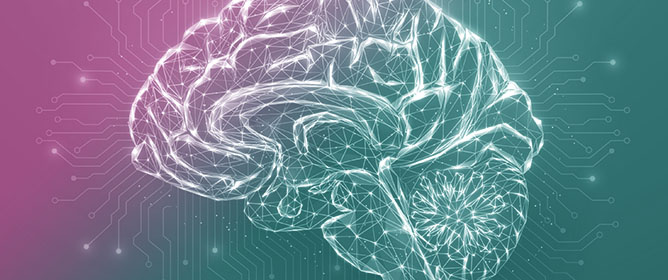 Entropy Production and Irreversibility in the Linearized Stochastic Amari Neural Model