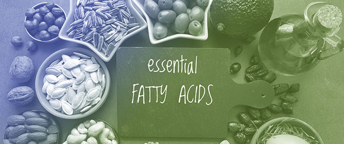 The Role of Omega-3 and Omega-6 Polyunsaturated Fatty Acid Supplementation in Human Health