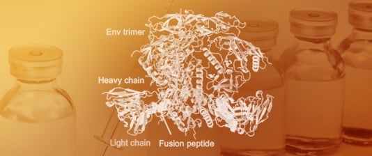 Yeast Display Reveals Plentiful Mutations That Improve Fusion Peptide Vaccine-Elicited Antibodies Beyond 59% HIV-1 Neutralization Breadth