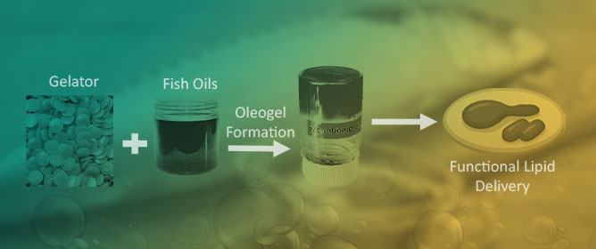 Wax- and Fatty Acid-Based Fish Oil Oleogels: Microstructure, Viscosity, and Stability
