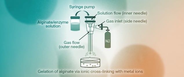 Size-Controlled Fabrication of Alginate Hydrogel Microbeads Optimized for Lipase Entrapment