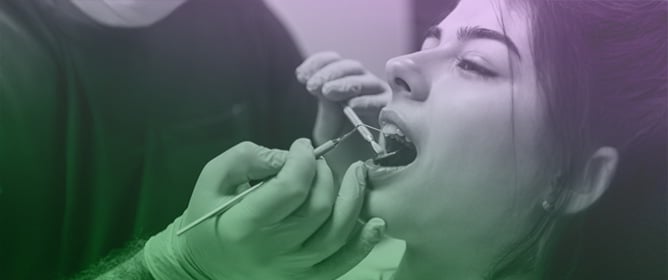 Oral Health in Young Adults: The Impact of Socioeconomic Factors and Health Literacy