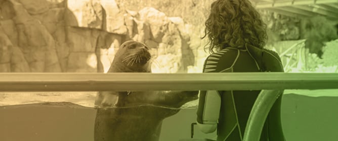 Why Measuring and Building Resilience Is Applicable to Zoo and Aquarium Animal Welfare