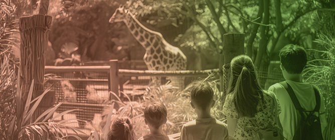 Stakeholder Perspectives on Zoo Sound Environments and Associated Impacts on Captive Animal Behaviour, Management and Welfare