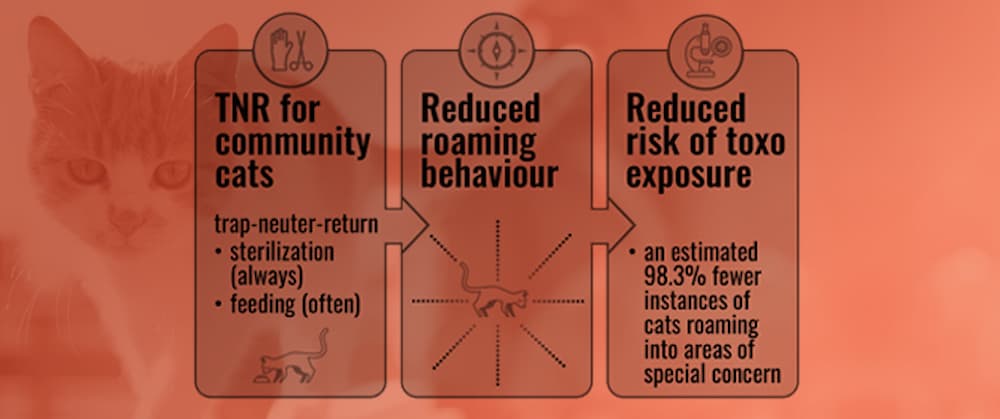 Sterilizing Free-Roaming Cats Protects Public Health