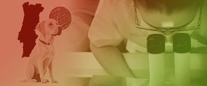 Are We Missing <em>Brucella</em> spp. in Portugal?