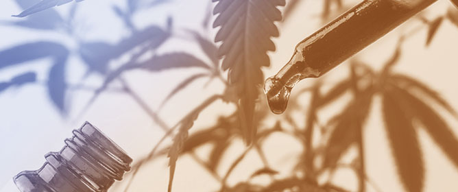 Evidence for Cannabidiol as a Medication in Adolescents