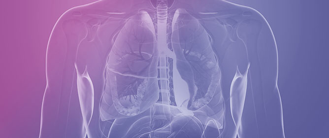 Bridging Gaps in Occupational Respiratory Disease Management: A Comparative Survey of Pulmonologists and Occupational Physicians in Italy