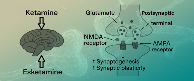 Ketamine and Esketamine in Psychiatry: A Comparative Review Emphasizing Neuroplasticity and Clinical Applications