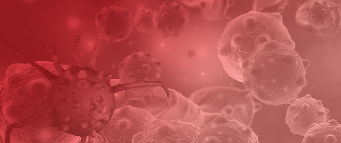 Metabolism-Guided LATTICE Radiotherapy in an Elderly Patient with Locally Advanced Head and Neck Cancer Treated with Curative Aim: A Case Report
